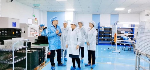 攜手共進(jìn)，共創(chuàng)未來(lái)——深圳擔(dān)保集團(tuán)蒞臨云里物里考察指導(dǎo)軟件開(kāi)發(fā)工作